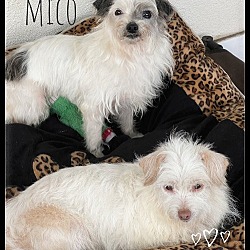 Photo of Candy & Miko
