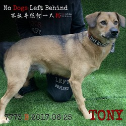 Photo of Tony 7773