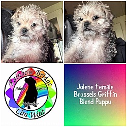 Photo of Jolene
