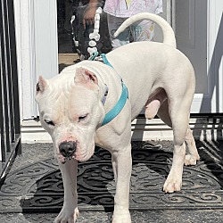 Photo of Ghost