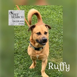 Photo of Ruffy