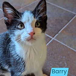 Thumbnail photo of Barry #2