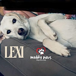 Thumbnail photo of Lexi (Courtesy Post) #2