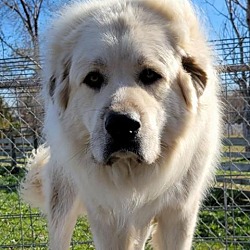 Photo of Kody