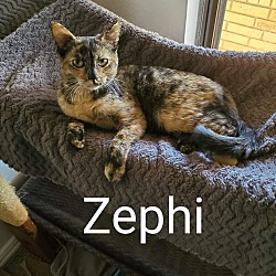 Photo of Zephi