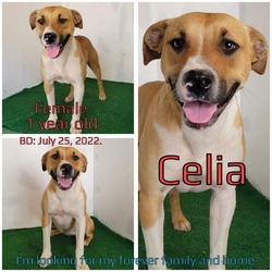 Thumbnail photo of Celia #2