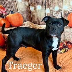 Thumbnail photo of Traeger #1