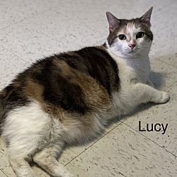 Thumbnail photo of Lucy #2