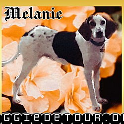 Thumbnail photo of Melanie #1