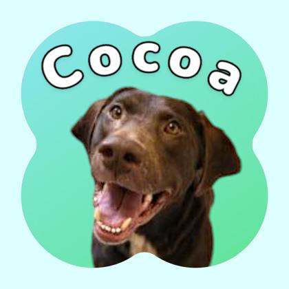 Photo of Cocoa