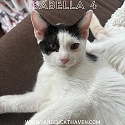 Thumbnail photo of Isabella 4 #1