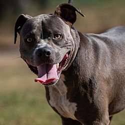 Photo of Quint JuM