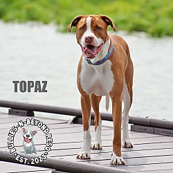 Thumbnail photo of Topaz #4