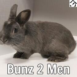 Photo of Bunz 2 Men
