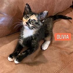 Photo of Olivia