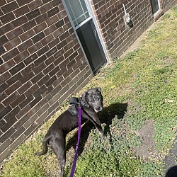 Photo of Nyla