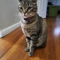 Photo of Dex