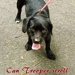 Thumbnail photo of Trooper #4