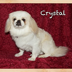 Thumbnail photo of Crystal #1