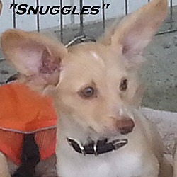 Thumbnail photo of Snuggles #2