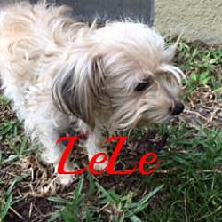 Thumbnail photo of LeLe #3