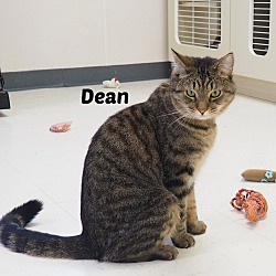 Thumbnail photo of Dean #1