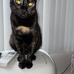 Photo of Raya 