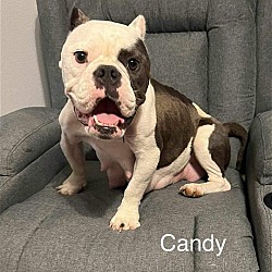 Photo of Candy