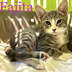 Photo of Fajita
