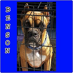 Thumbnail photo of Benson #3