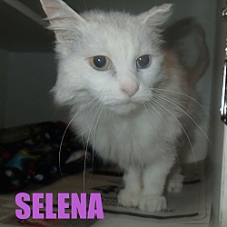 Thumbnail photo of Selena #2