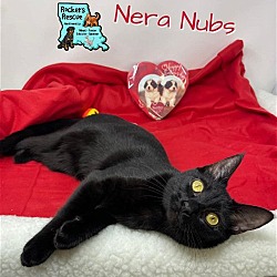 Photo of Nera Nubs