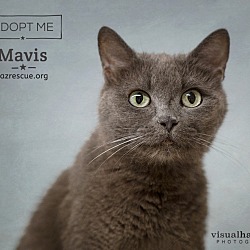 Thumbnail photo of Mavis #1