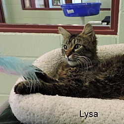 Thumbnail photo of Lysa #2