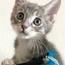 Photo of Charlotte