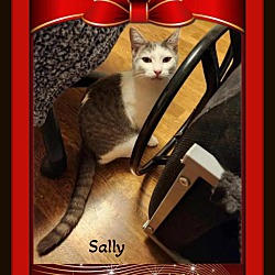 Photo of Sally - Affectionate