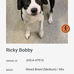 Thumbnail photo of Ricky Bobby #3