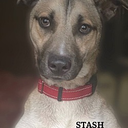 Thumbnail photo of Stash #1
