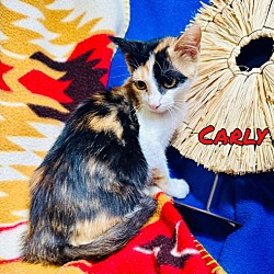 Thumbnail photo of Carly #3