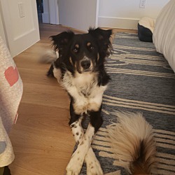 Photo of Queenie