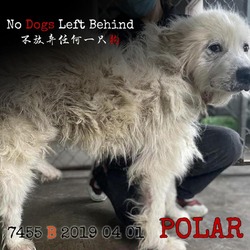 Thumbnail photo of Polar 7455 #2