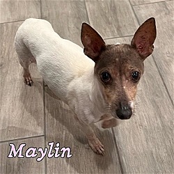 Thumbnail photo of Maylin #1