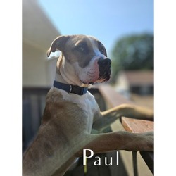 Thumbnail photo of Paul #2