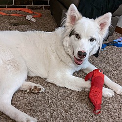 Photo of Fonzy