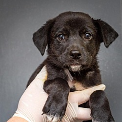 Photo of Zora
