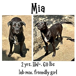 Thumbnail photo of Mia #1