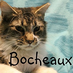 Thumbnail photo of Bocheaux #2