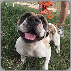 Thumbnail photo of Betty Boop #3