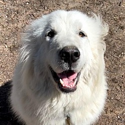 Photo of CHARLIE