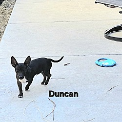 Thumbnail photo of Duncan #2
